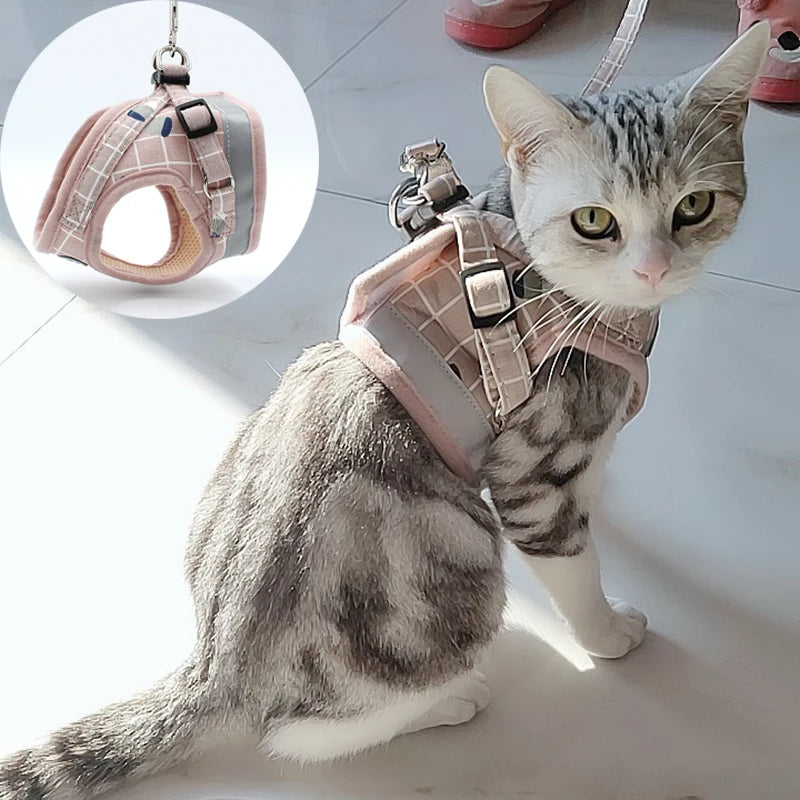 Fashion Plaid Cat Harness & Leash Set - Summer Mesh Pet Accessories 🐱✨