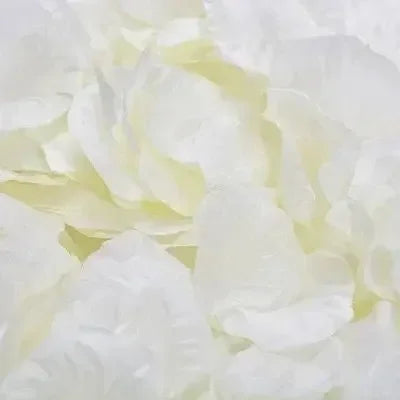 6000/100Pcs Silk Rose Petals | Romantic Fake Flower Petals for Weddings, Valentine’s & Party Decor