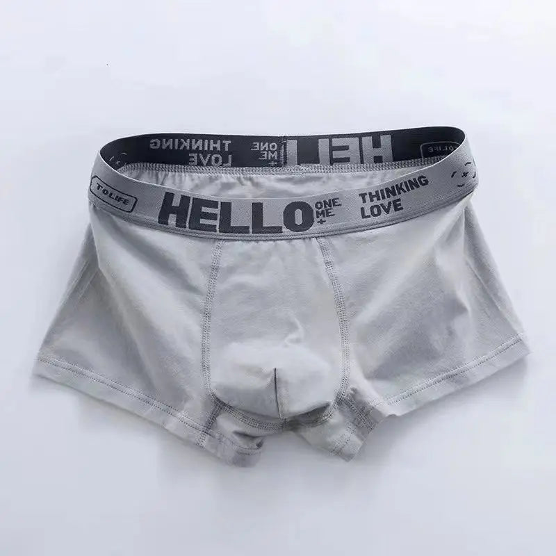 4Pcs Men's Underwear Boxers