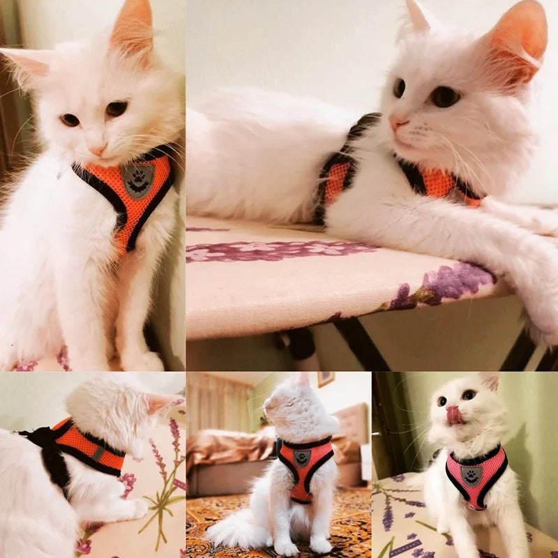 Summer Cat Dog Harness Lead Leash Adjustable Vest Polyester Mesh Breathable Harnesses Reflective for Small Dog Cat Lesah