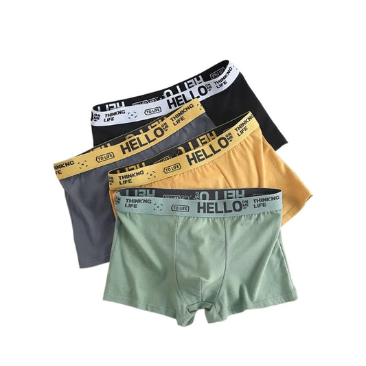 4Pcs Men's Underwear Boxers